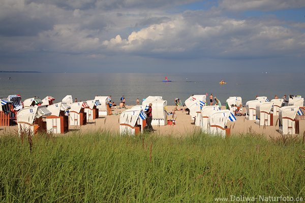 Strandkorbpanorama Ostsee Meerufer Timmendorfer Badestrand Urlaub Wasserblick Ferienidylle Kste Landschaft