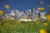 Berge Flora Felsen Fotokunst Landschaft Panorama Naturbild romantischer Leinwandruck