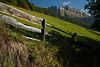Virgental grne Almwiese hinter Zaun mit Bergblick Naturfoto schner Wanderung im Baumschatten