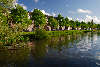 Frühling in Amsterdam Allee grüne Bäume am Fluss Wasser Landschaft Bilder