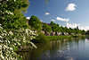 Amsterdam Frühling Baumblüte Allee Fluss WasserLandschaft