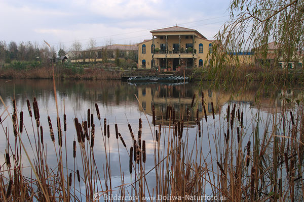 Teich Parkgelnde De-Eemhof Wohnparks Center Parcs