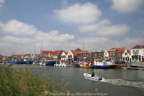 Zierikzee Hafen Landschaft Boote in Wasser Schilfufer bunte Huser