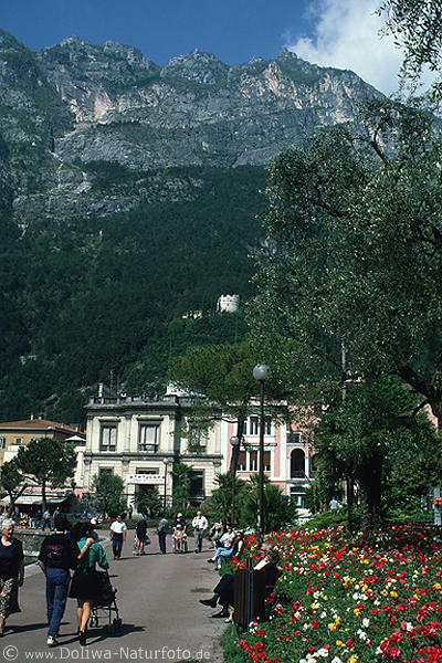 Riva Bergkulisse Uferpromenade Gardasee Felswand Blumenblte