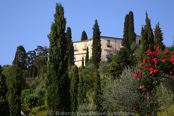 Zypressengarten Bellagio Villa Residenz Como-See