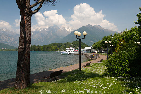 Colico Lago Como Seeufer Landschaft Wasser Alpen Bergblick grne Natur Lario Italien Lombardei 