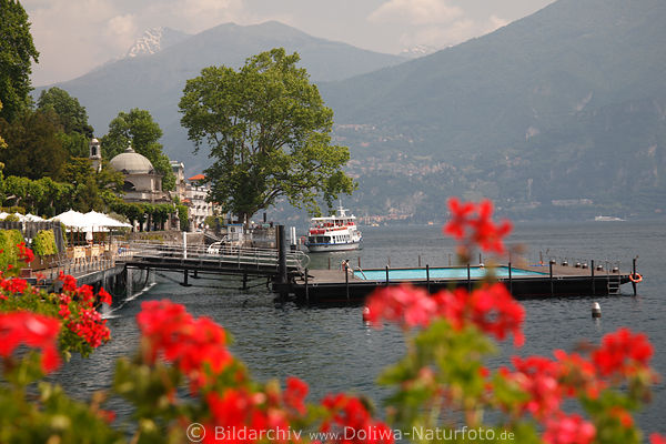 Tremezzo Seeufer Como-Landschaft rote Blumen Wasser Schiff Bergpanorama