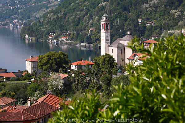Cannero Riviera Kirche Huser Steilufer grne Kste Maggioresee Panorama am Wasser