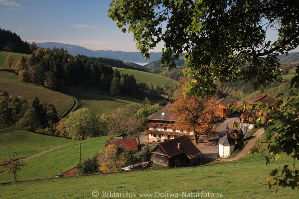 Kapfenhof Kapelle im Tal Schwarzwald Berglandschaft Natur