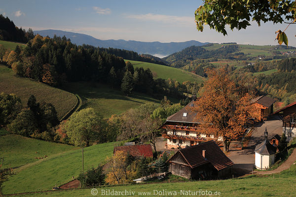 Schwarzwald Berglandschaft Talpanorama Natur Weite Bauernhof Kapelle