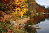 Feldsee Wasserufer Herbstlandschaft Bume Steine in Seewasser Schwarzwald Natur
