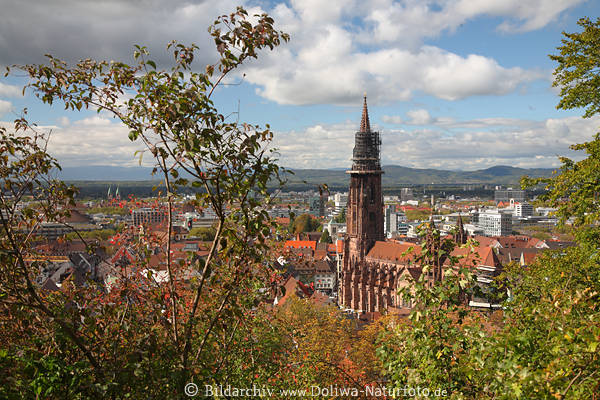Freiburg im Breisgau Panorama M�nster �ber Altstadt D�cher Landschaft