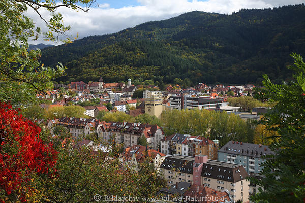 Freiburg Wiehre Bergpanorama D�cherlandschaft