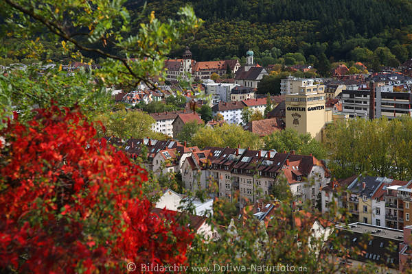 Freiburg Wiehre Stadtd�cher Herbstfarben