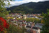 Freiburg Wiehre Bergpanorama D�cherlandschaft