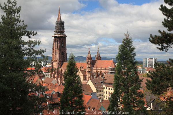 M�nster Kathedrale von Freiburg im Breisgau gotisches Kirchengeb�ude Schwarzwald Attraktion