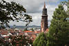 Freiburg M�nster Kirche Spitzturm Foto �ber Altstadtd�cher Citylandschaft Schwarzwald