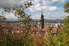 Freiburg Stadtpanorama M�nster Altstadt D�cherlandschaft