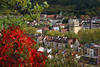 Wiehre Stadtd�cher Landschaft Foto Freiburg H�user in Natur Herbstfarben Blick vom Schlossberg