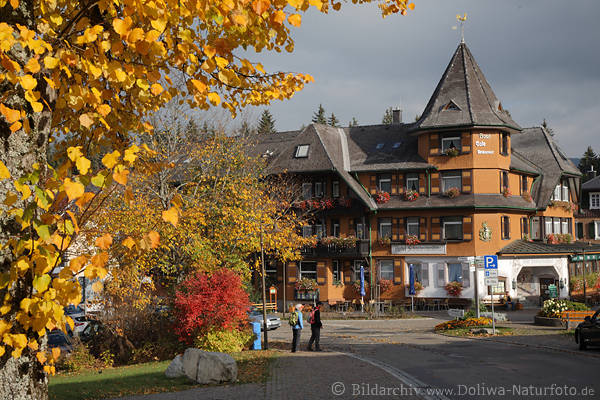 Hinterzarten Herbst-Landschaft in Schwarzwald Dorf bunte Farben schner Hotel