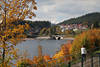 Schluchsee Wasserbrcke Ufer Landschaft Spaziergang in Schwarzwald Herbst Goldfarben