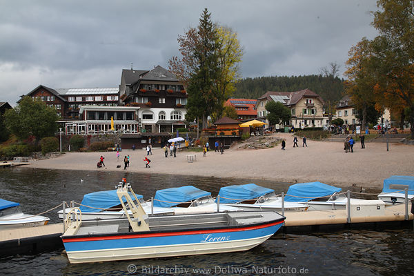 Titisee Ufer Strand Boote Wassersteg Landschaft