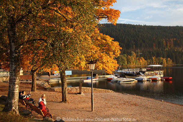 Titisee Herbstlandschaft Strand Wasserufer Boote Steg Reise