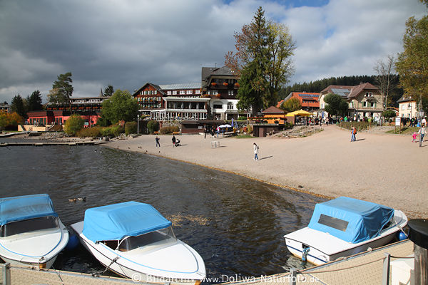 Titisee UferPanorama Strand Hotel Boote Wasser Kurort Landschaft