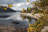 Schluchsee Wasserbucht in Seebrugg Landschaft Natur Herbstbltter am Ufer