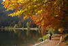 Feldsee Bilder Herbst Landschaft Naturfotos Schwarzwald Urlaub Wanderziel