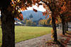 Hinterzarten Allee Herbstblätter Landschaft Foto Bäume Grünwiese Kirche Bergblick