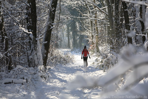 Schneeallee in Wald Winterlandschaft Naturfoto mit Wanderin Frau in Sonnenschein spazieren