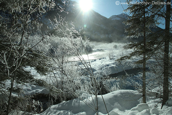 Bachufer Schneelandschaft Winterbild in Sonnenschein Frost Eistarre