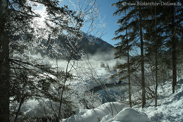 Wasserbach Flussufer Schneelandschaft Winterbild Frost Eis D�mpfe in Sonnenschein Naturfoto