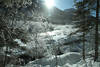 Bachufer Schneelandschaft Winterbild in Sonnenschein Frost Eistarre Berge Winterbach Naturbild