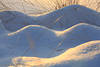 Schneebuckel Lichtschatten Winterbild Schneekuppen Gegenlicht Naturfoto
