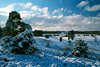 Winterlandschaft blau-weiße Stimmung Naturfoto Wolken Bäume Winterkleid
