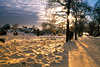 Winterlandschaft gelbe Abendstimmung Naturfoto Sonne Allee Wanderer